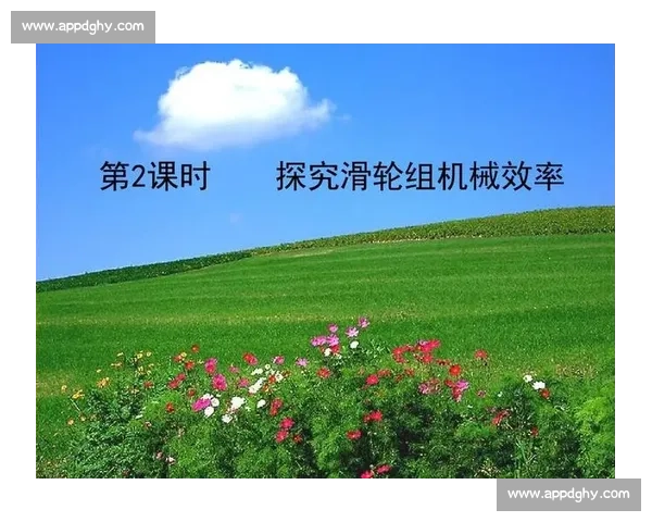 以反应速度为核心探究人体神经与决策效率提升路径研究综合分析方法