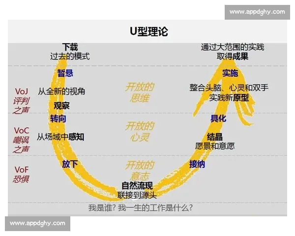 体育团队领导力提升策略与成员协作效能全面研究